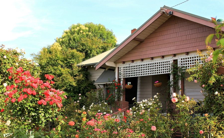 Gardening under the Australian sun