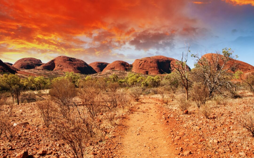 Is Australia’s wildlife really so scary?