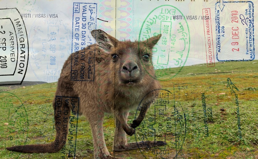 Changes to the Australian skilled work visa