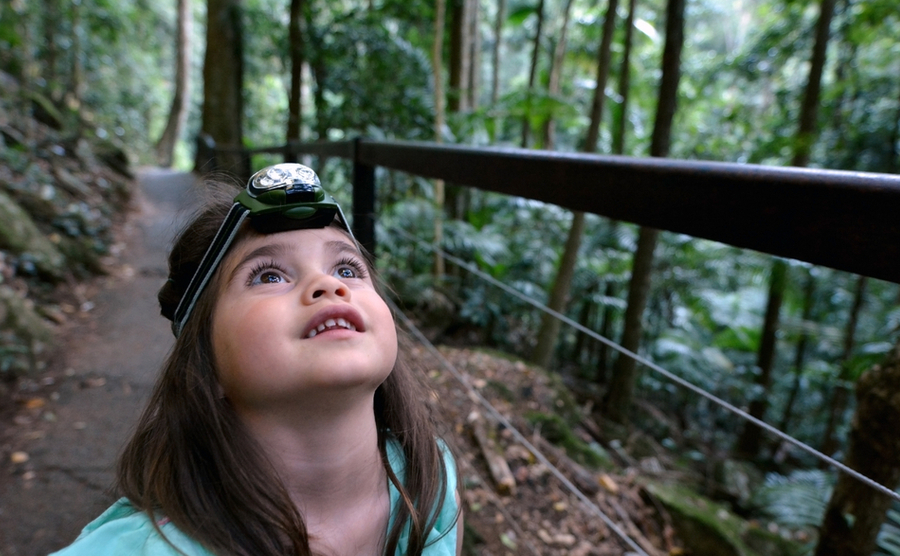 little girl looking up in a rainforest. 