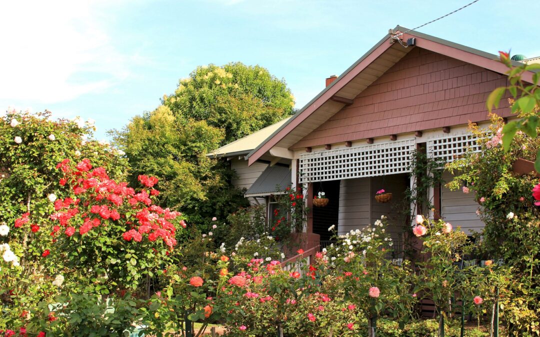 Gardening under the Australian sun