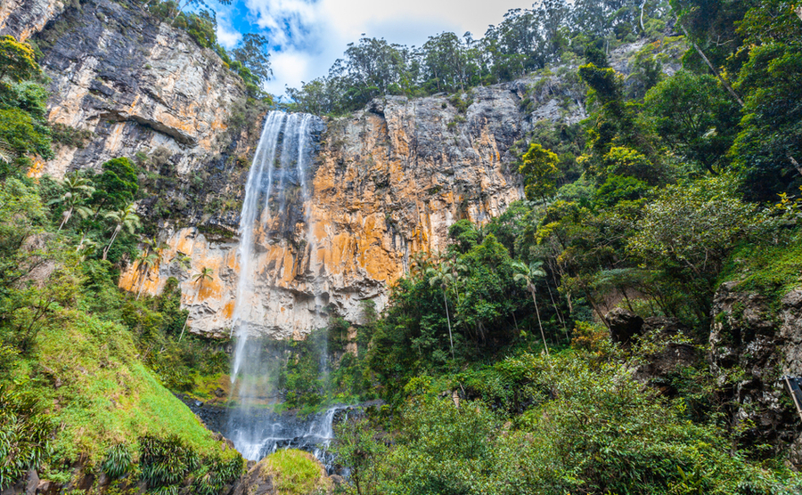 Discover Australia’s wildlife beyond I’m a Celeb