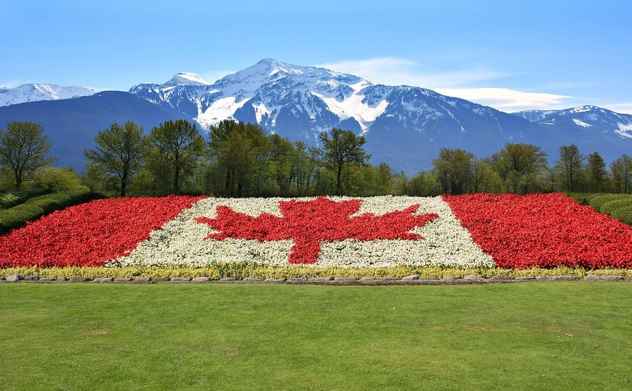 Your guide to gardening in Canada