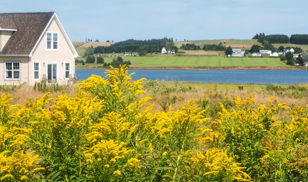 Buying in Canada: the buying process in 7 steps