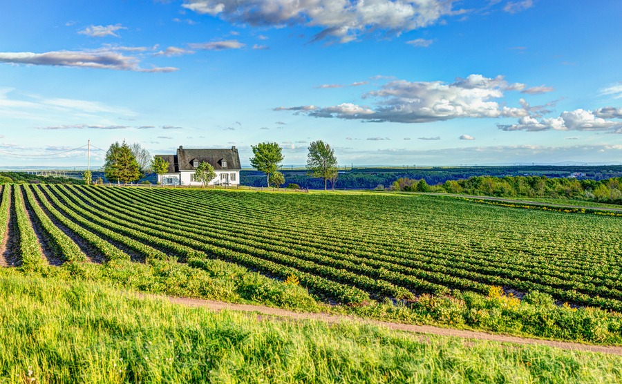 Don't underestimate impact of currency exchange on the costs of buying a home in Canada.