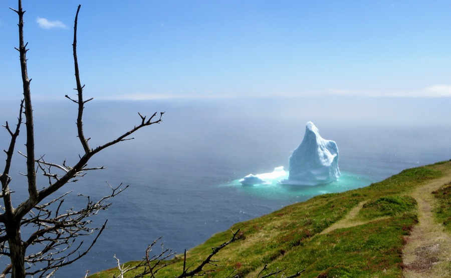 Where are the best places to live in Newfoundland? Seeing the icebergs floating down 'Iceberg Alley' is quite a sight.