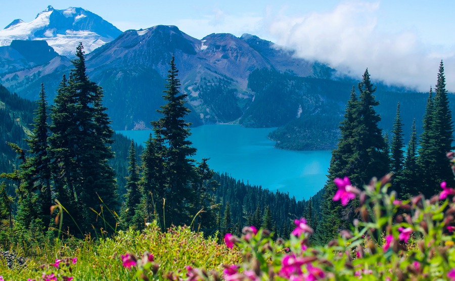 Turquoise water of Garibaldi Lake in Whistler, BC. As seen from blooming alpine meadows above.