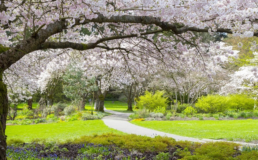 Full of the joys of spring in Canada