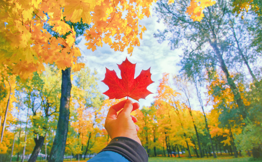 7 reasons why moving to Canada is a good idea