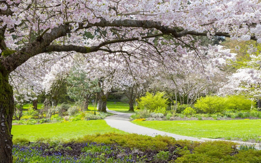 Full of the joys of spring in Canada