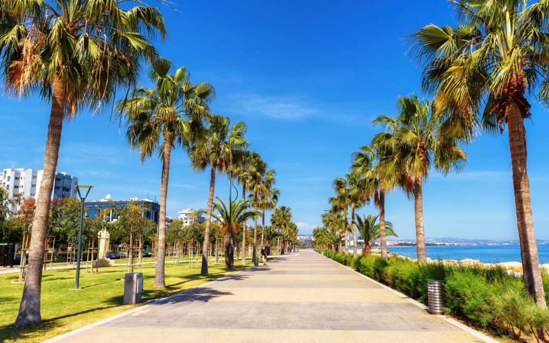 A Mediterranean spring in Cyprus