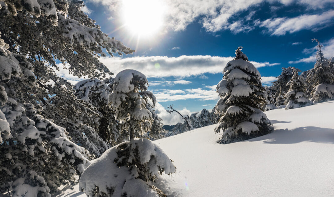 Skiing in Cyprus: a winter wonderland