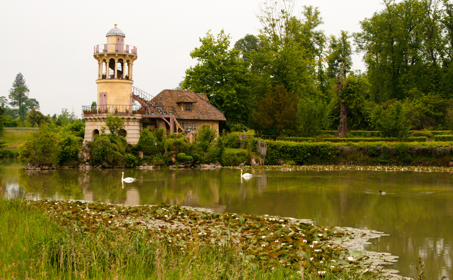 Your wild (and sometimes furry) neighbours in rural France