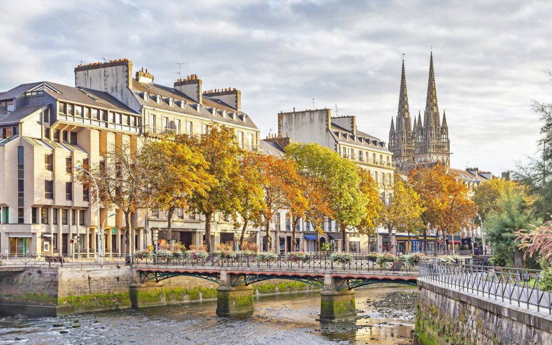 Enjoying and maintaining the outdoor space in your new French home