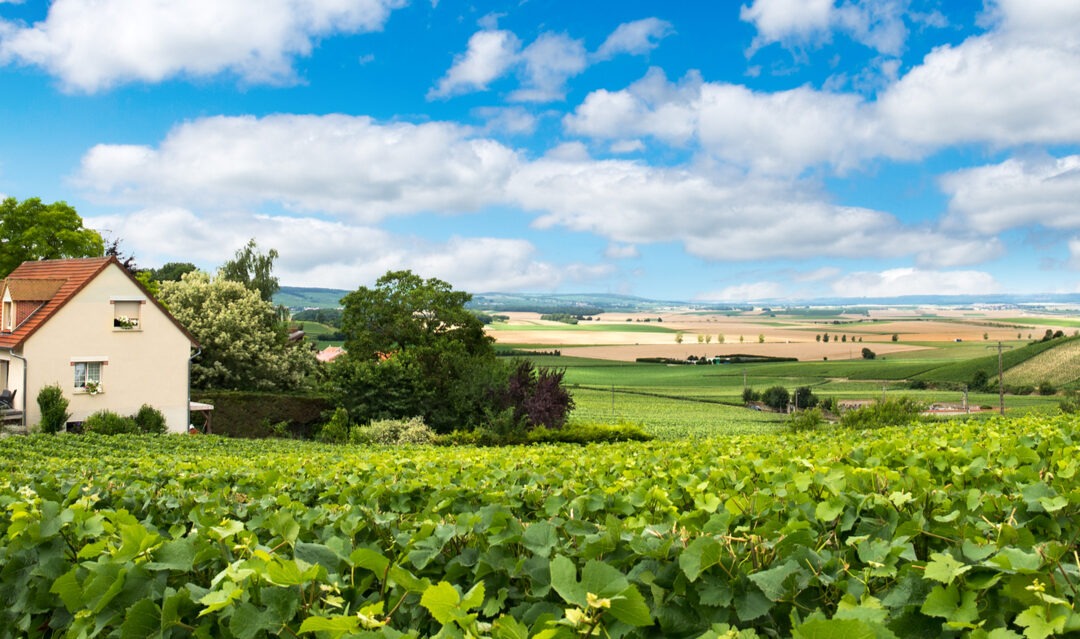 Discover the beautiful region of Champagne-Ardenne
