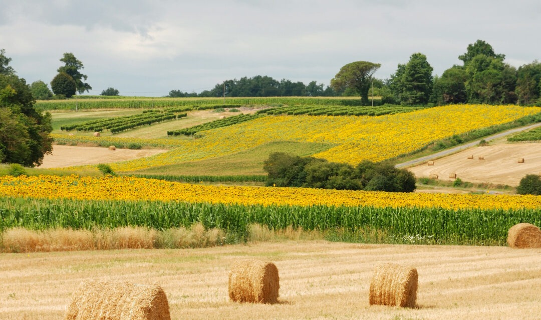 Beth’s life in France one year on: “The move is the best thing I ever did”