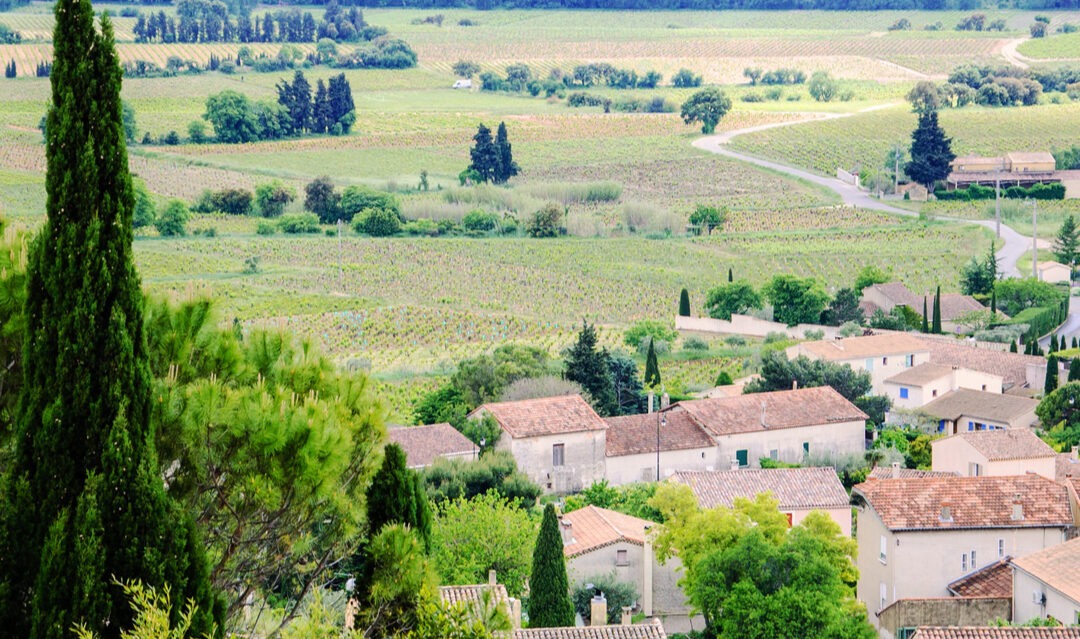 “Enjoy going slow”: the van Hartens’ new life in southwest France