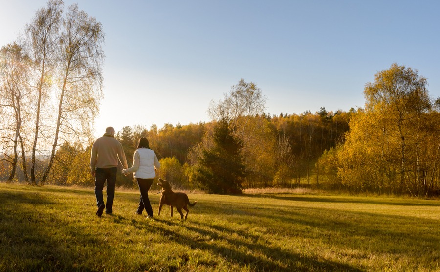 If you're moving to France as a single person, you're in good company!