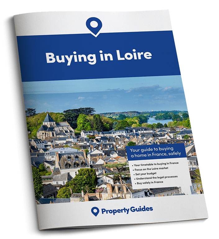 Get your free guide to buying in Loire