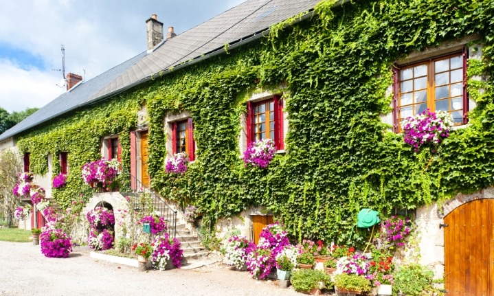 Where are the best country homes in France?