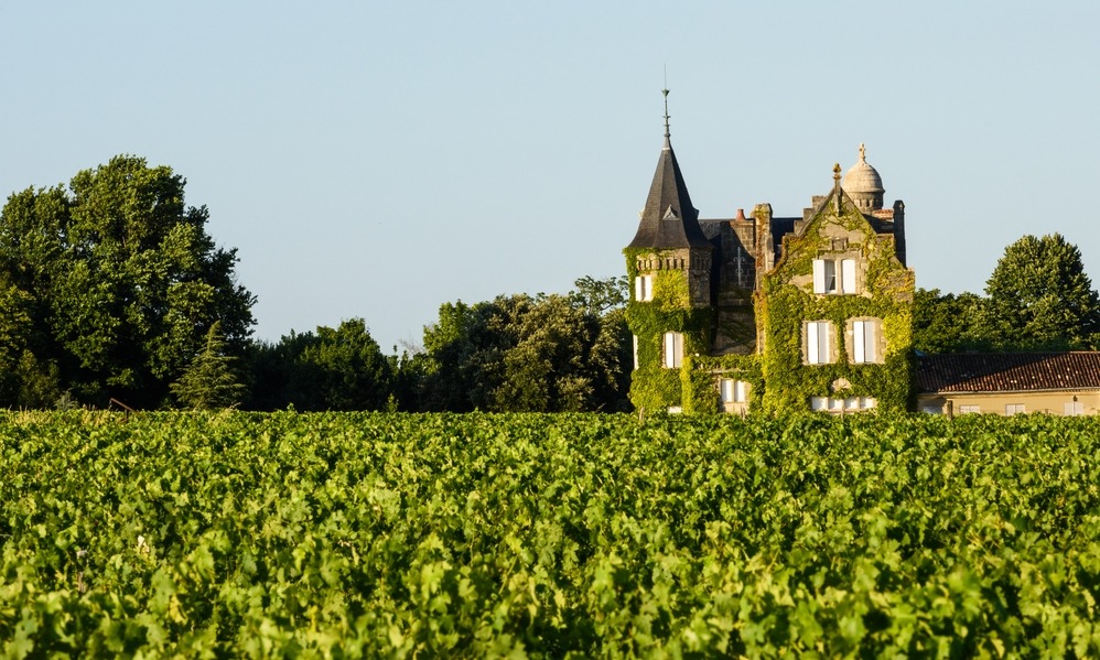 France News - The beautiful fields of Bordeaux
