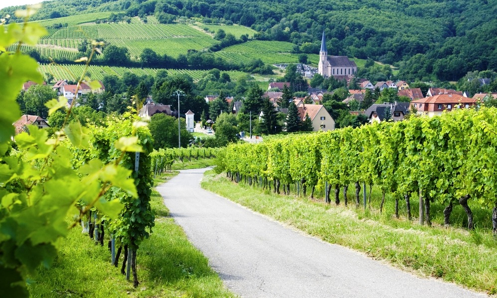 France - Route de vine. Alsace. France.