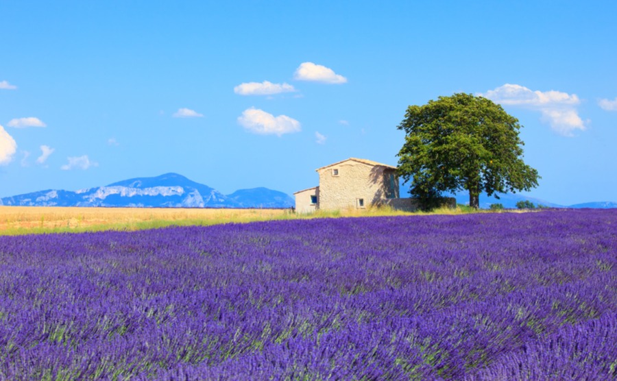 Negotiating is an important part of the house-buying process in France. Start off asking 10% below the buying price.