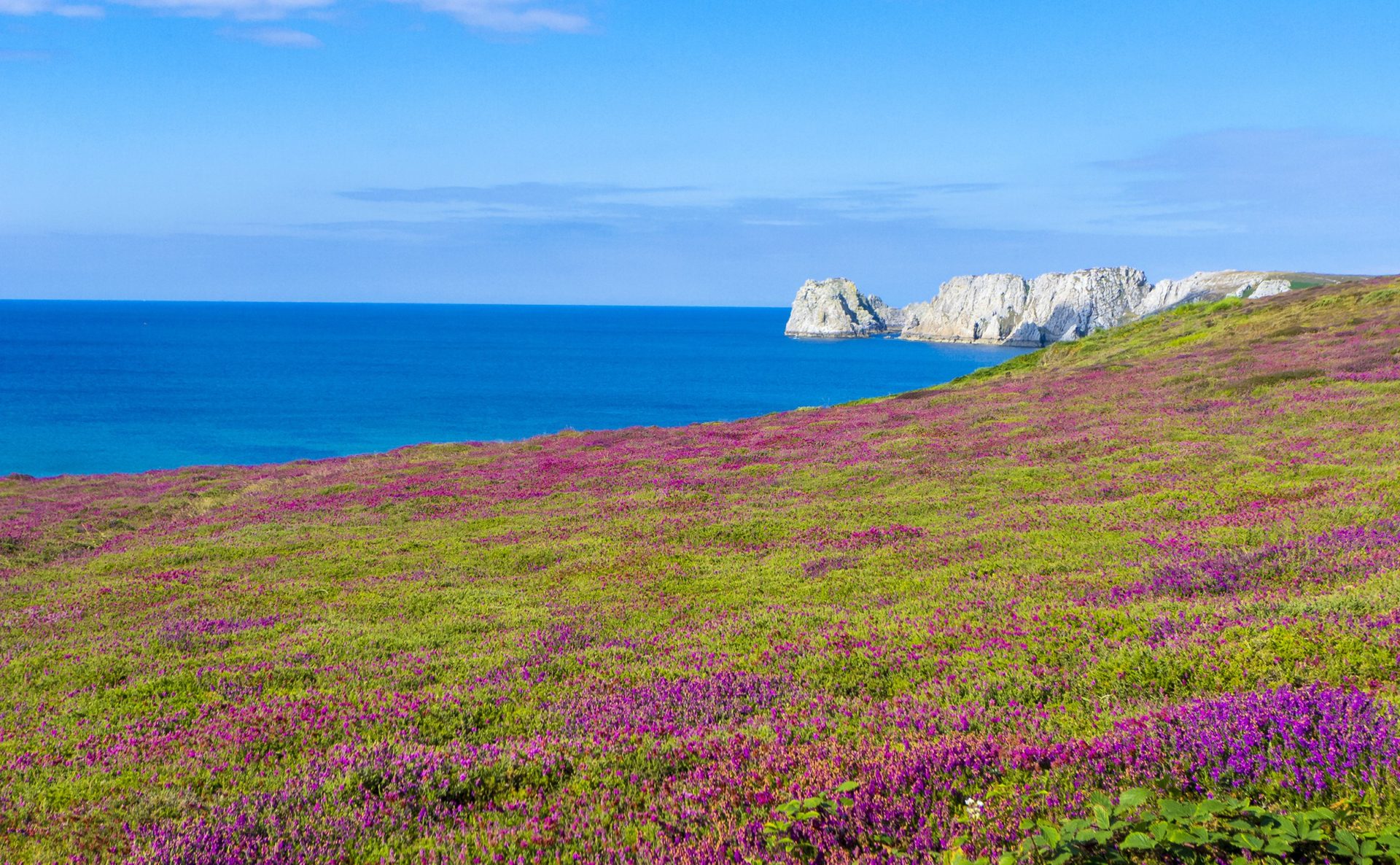 You're never far from the sea in Brittany, but being further inland gets you some of the cheapest homes in France.