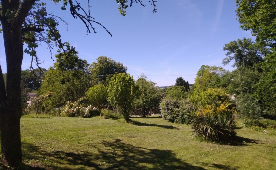 Another view of the expansive garden.