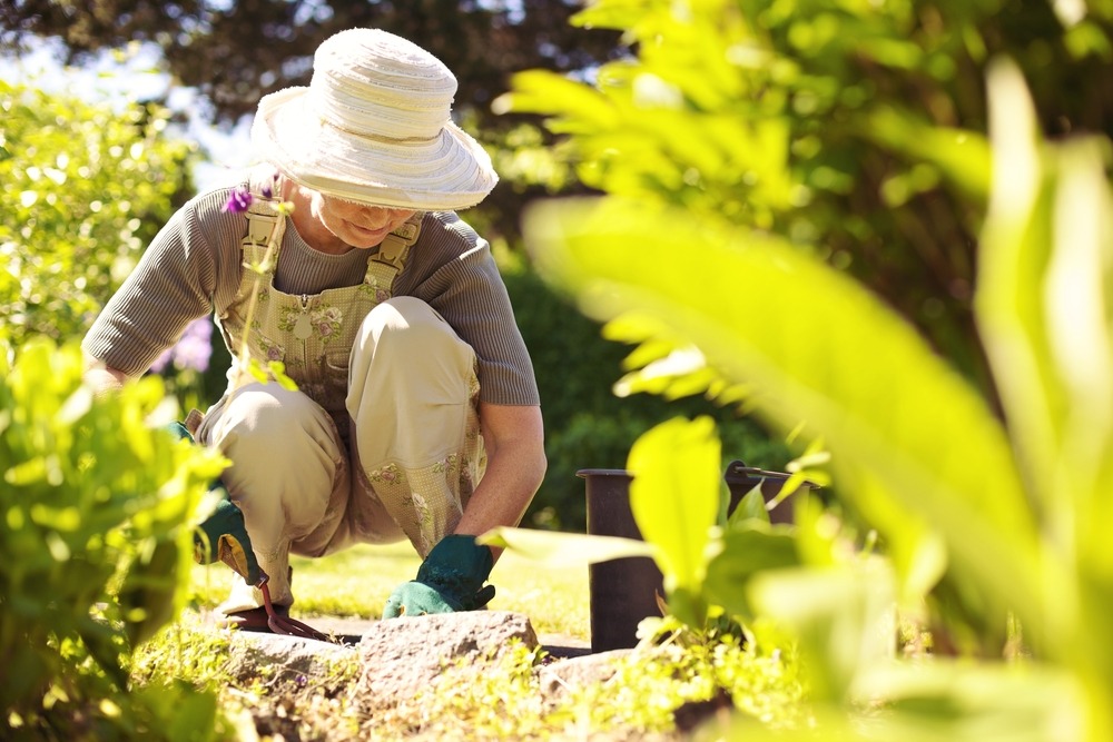 How to find voluntary work in France