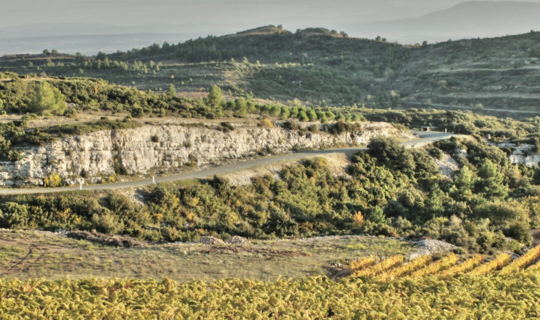 “We’ve never looked back”: swapping the London rat race for the peace of the Languedoc-Roussillon