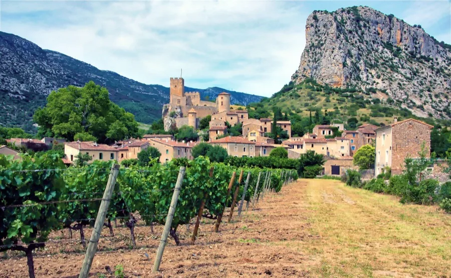 Some of the best things about living in the south of France have to be the climate, the delicious food and the beautiful countryside.