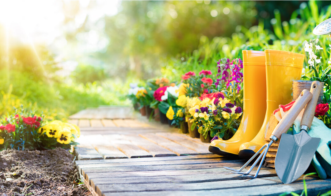 7 signs spring is returning to France