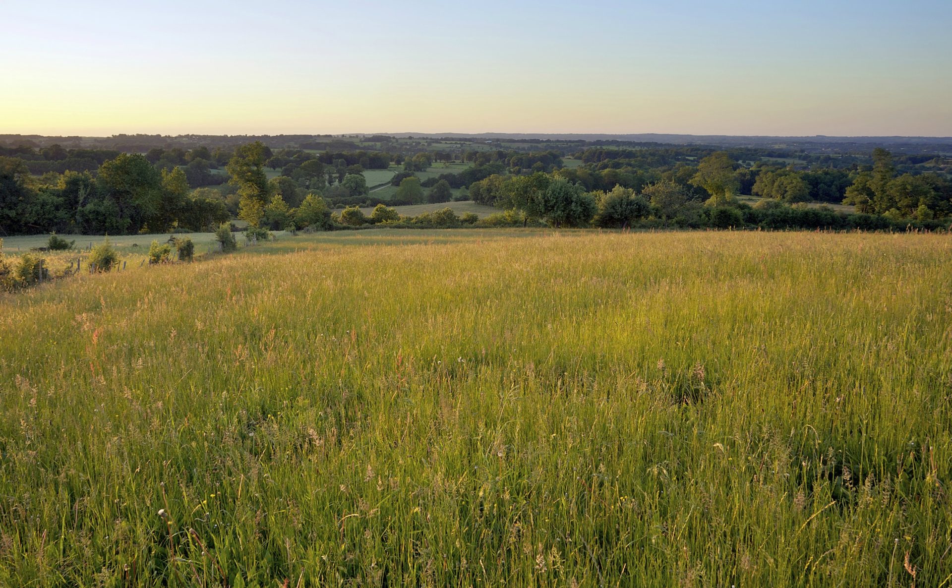This is a region not only with the cheapest homes in France – it is also wonderfully peaceful