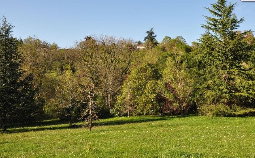 A large and sunny plot near Toulouse