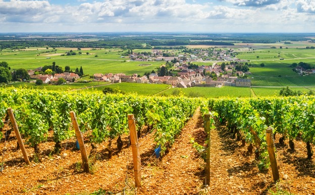 Burgundy is a great location for country homes in France.