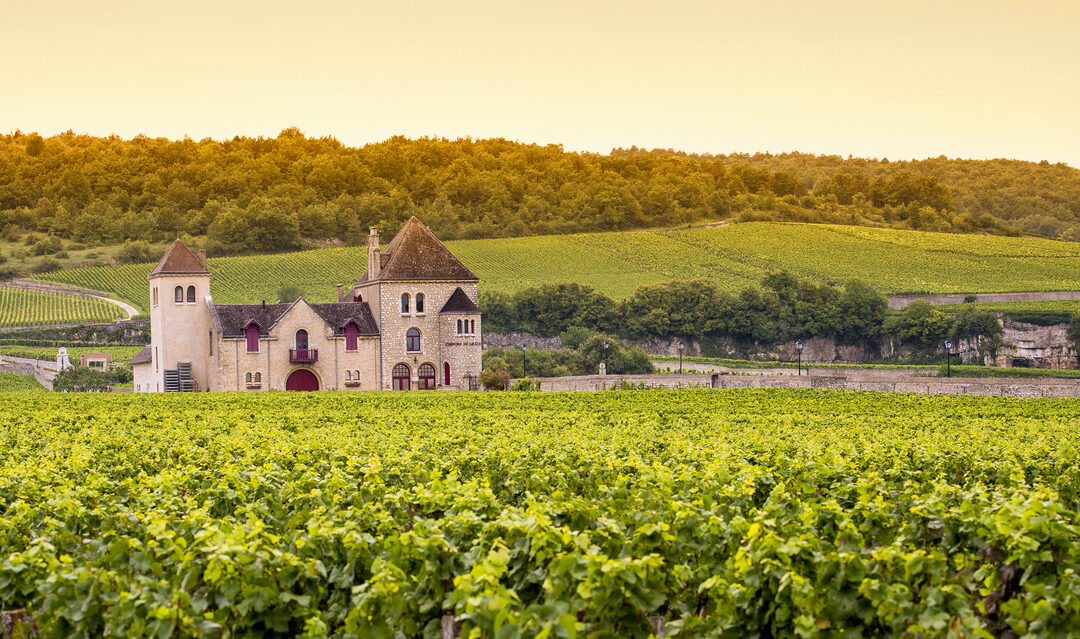 5 reasons why Burgundy is an ideal holiday home location
