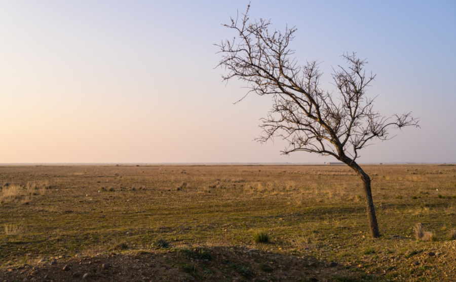 France in a state of alert over water shortages