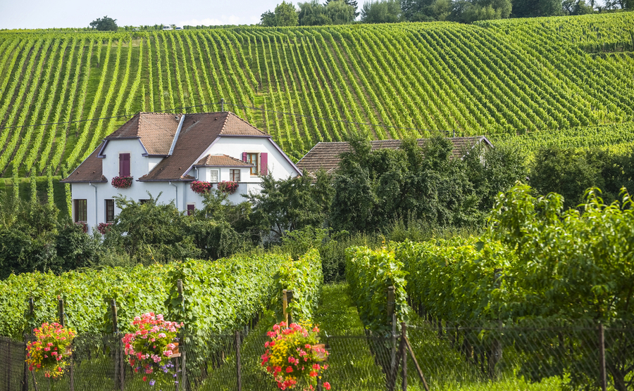 Buying a rural French property and the “SAFER” rule: what you need to know