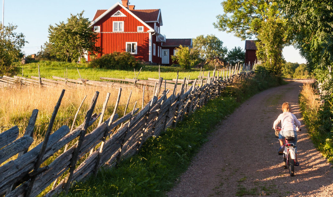 The good life – owning property in France with land (and animals!)