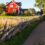 The good life – owning property in France with land (and animals!)