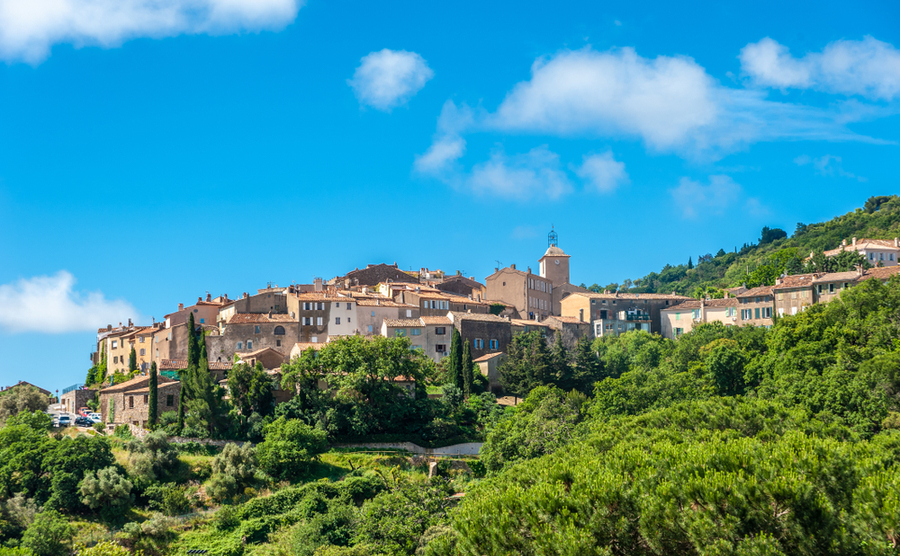 Living in the wine regions of Provence