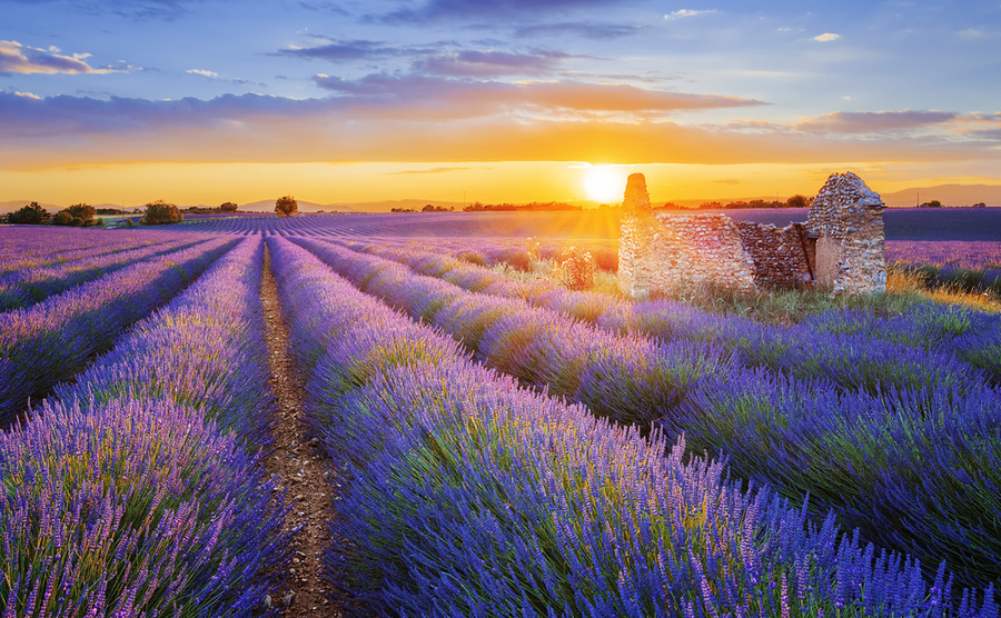 5 luxury locations in Provence