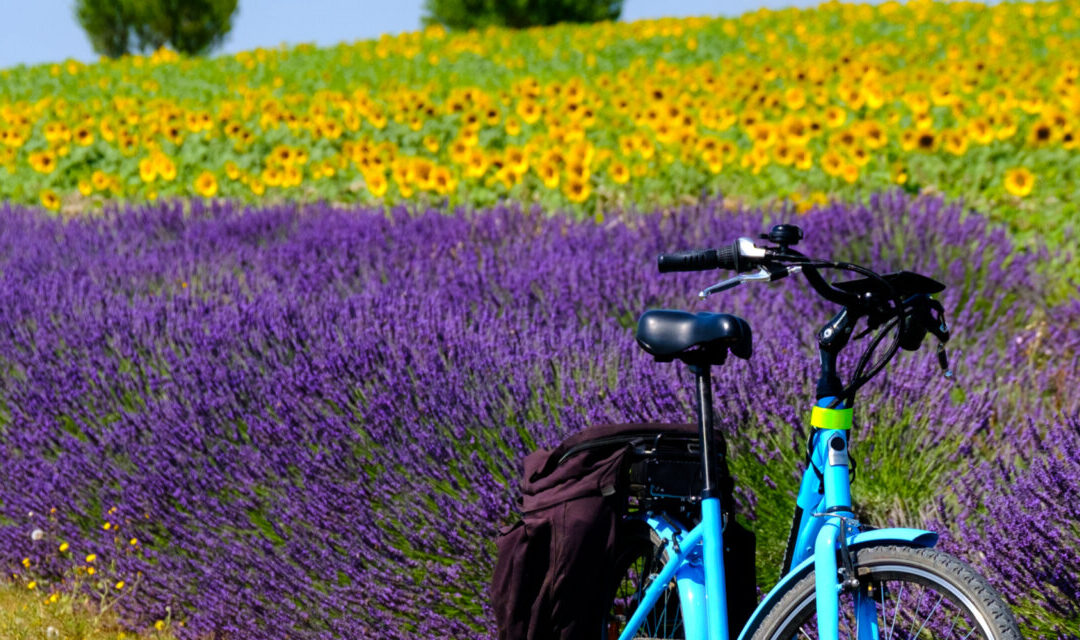 Cycling in France, for fun, fitness and friendship