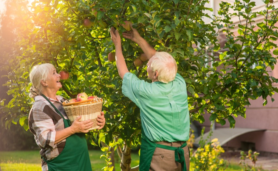 My top tips for earning a living in rural France