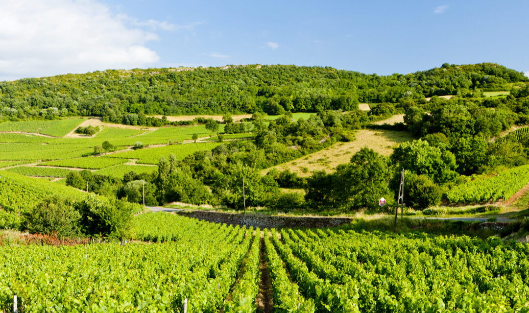 5 beautiful wine producing towns and villages