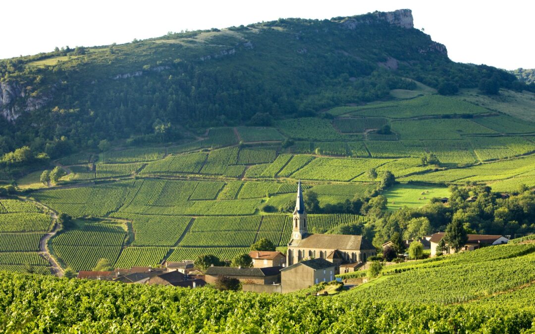 The wine regions of France