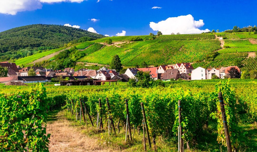 The health and wellbeing benefits of rural life in France