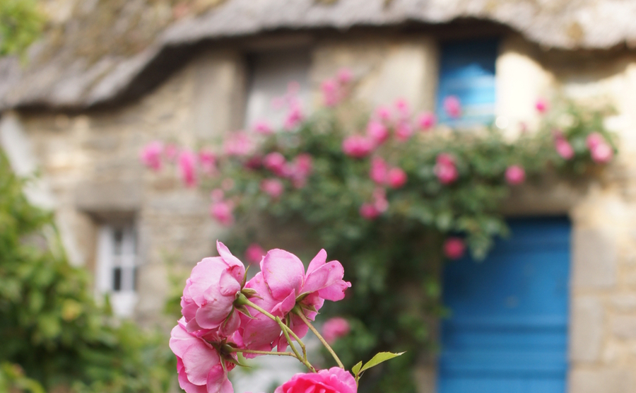 French cottage