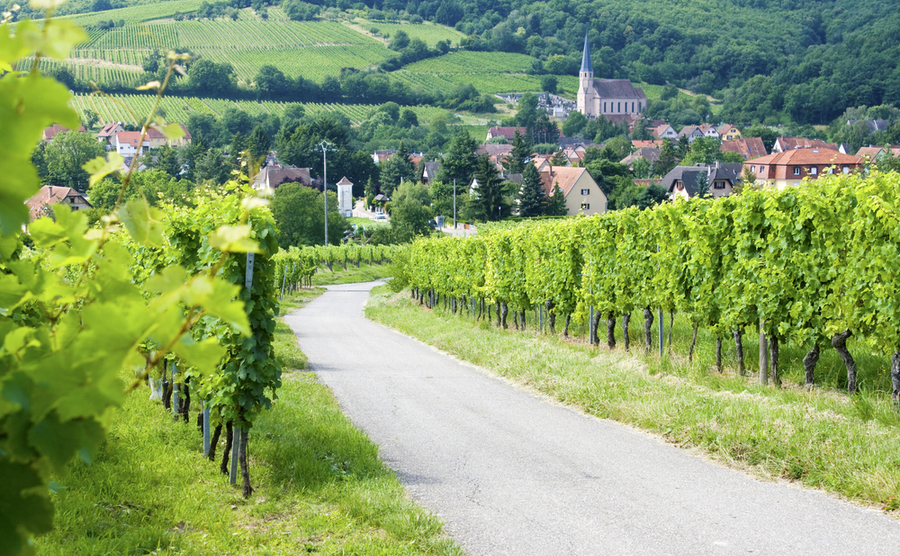 French countryside